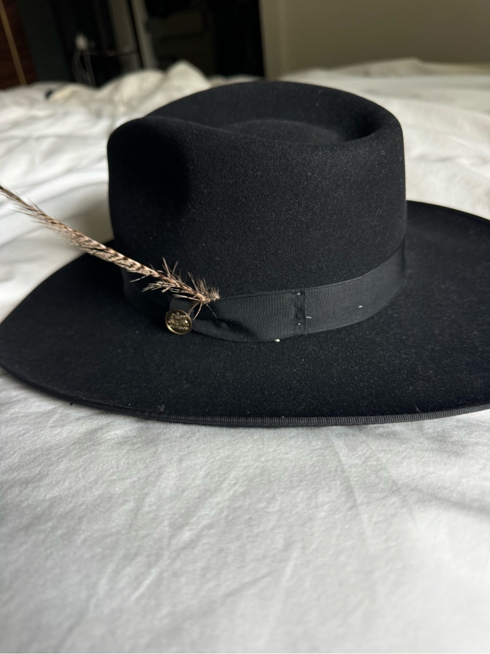 Stetson Black Felt Fedora with Gold Crest Interior
